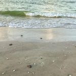 article image - 